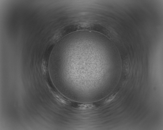 X0000054400135200508011332