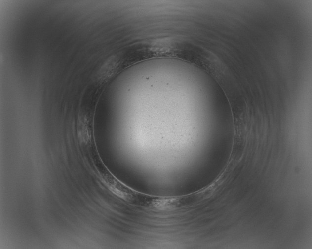 X0000054400136200508011332