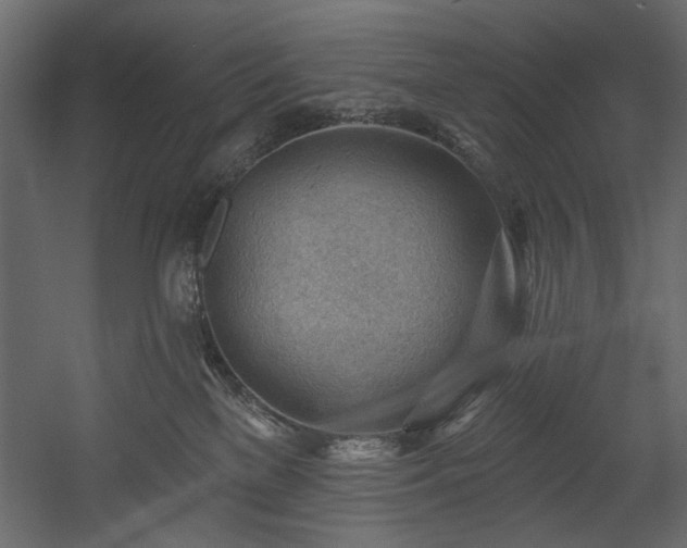 X0000054400137200508011332