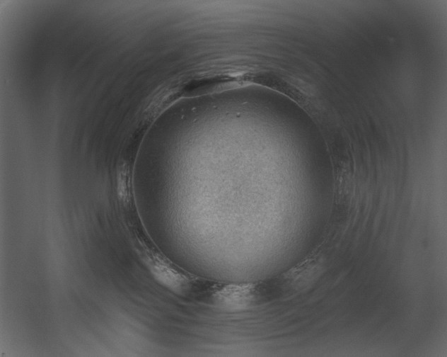 X0000054400138200508011332