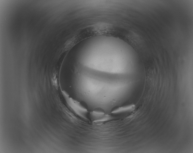 X0000054400139200508011332