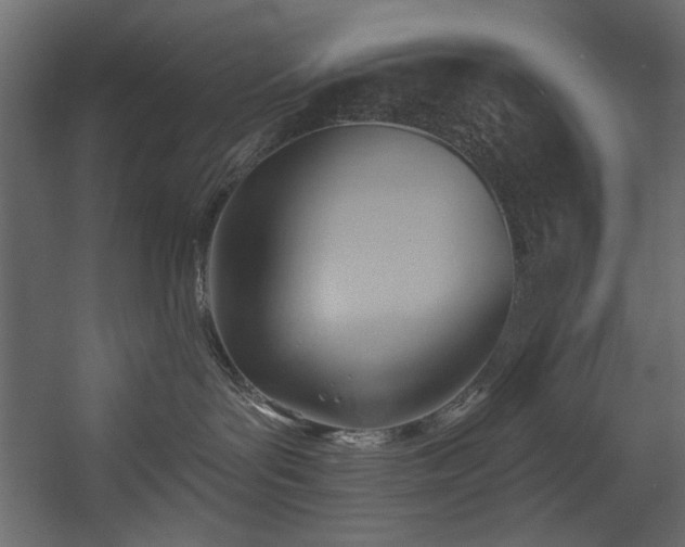 X0000054400143200508011332