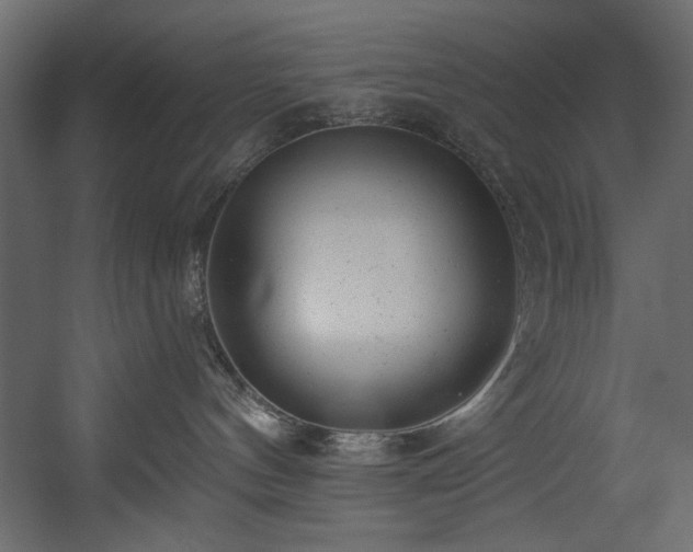 X0000054400144200508011332