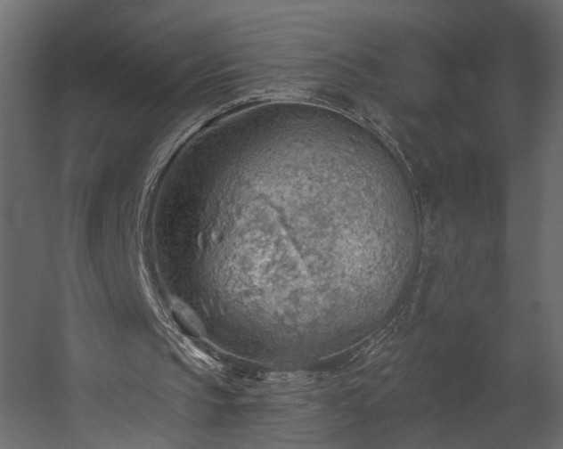 X0000054400145200508011331