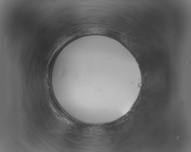 X0000054400146200508011331