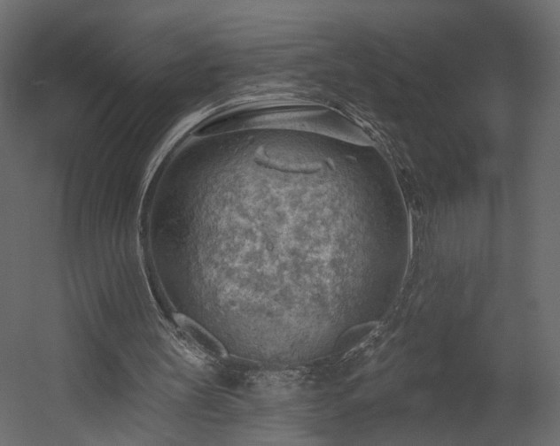 X0000054400147200508011331