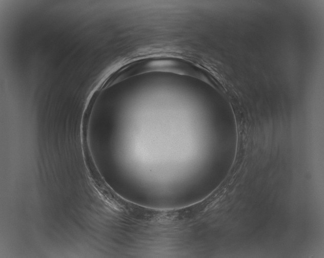 X0000054400148200508011331