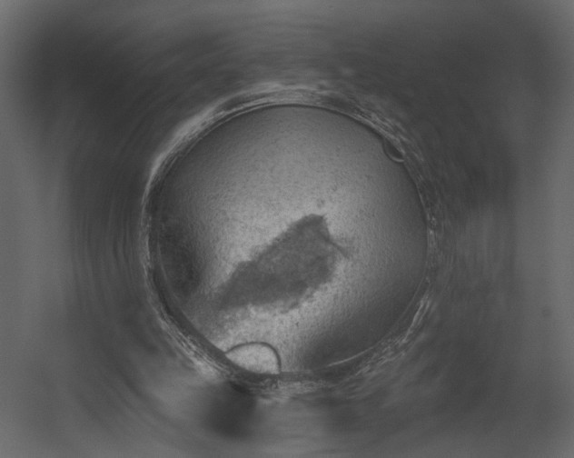 X0000054400149200508011331