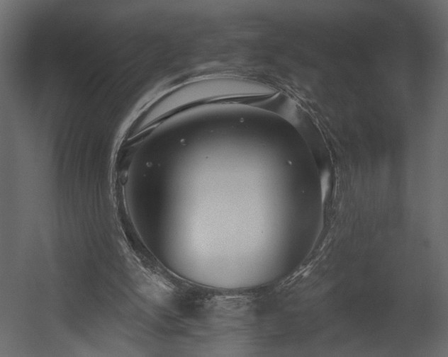 X0000054400150200508011331