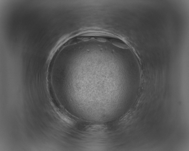 X0000054400151200508011331