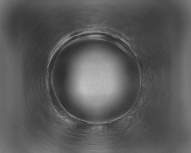 X0000054400152200508011331