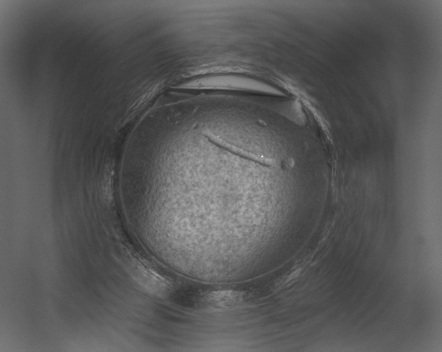 X0000054400153200508011331