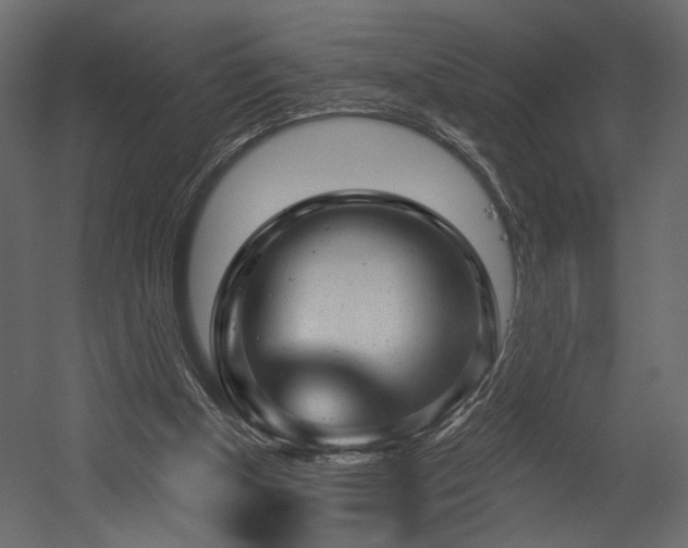 X0000054400154200508011331