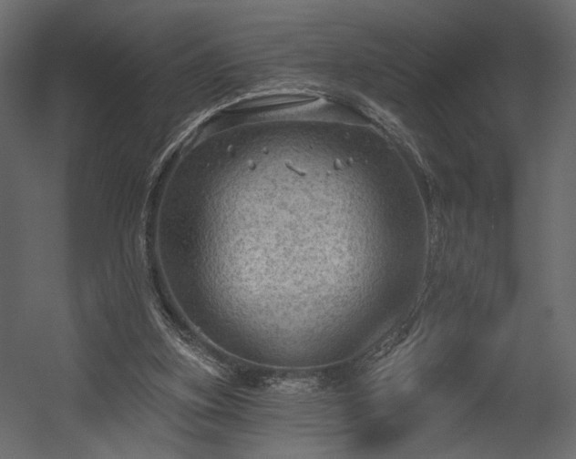 X0000054400155200508011331