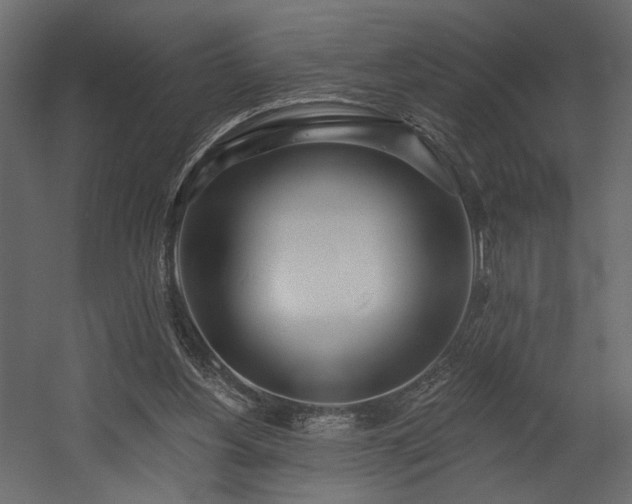 X0000054400156200508011331