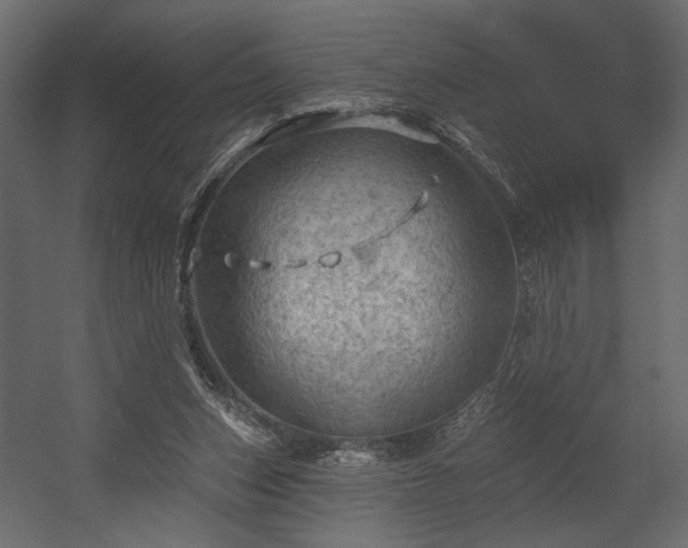 X0000054400159200508011332