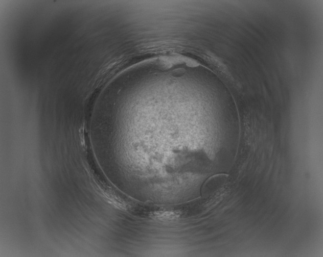 X0000054400161200508011332