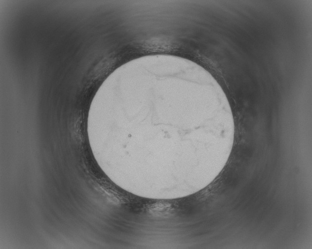 X0000054400162200508011332