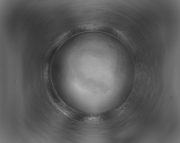 X0000054400163200508011332