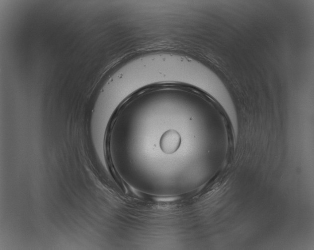 X0000054400164200508011332