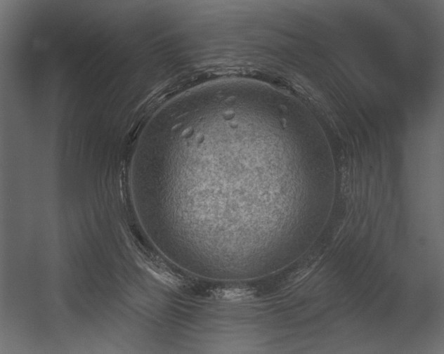 X0000054400165200508011332