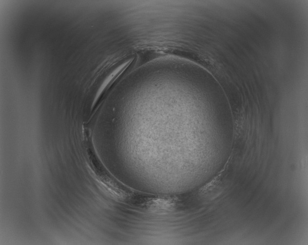 X0000054400166200508011332