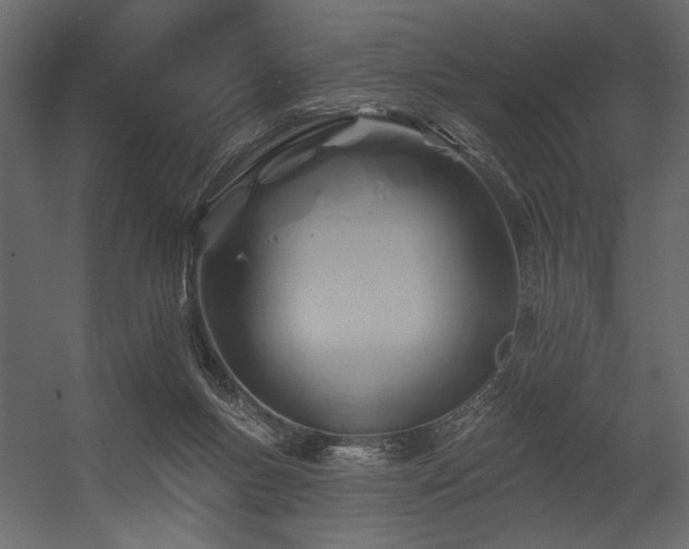 X0000054400167200508011332