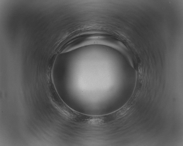 X0000054400168200508011332