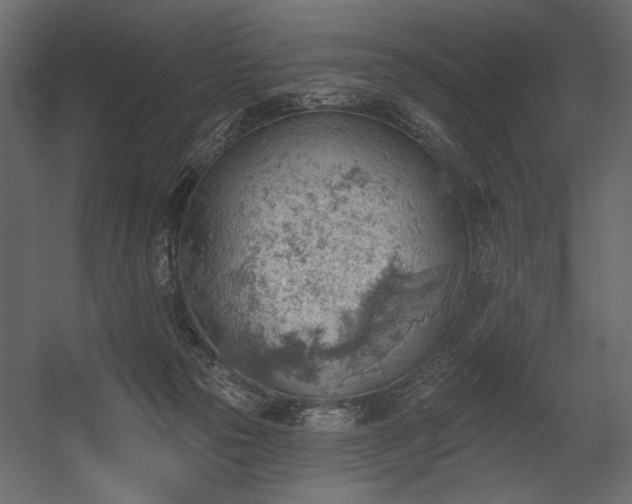 X0000054400169200508011332