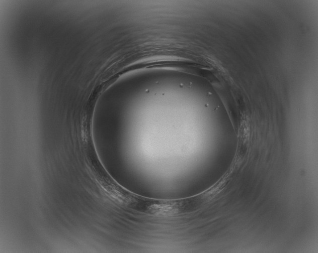 X0000054400170200508011332