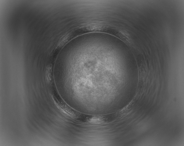 X0000054400171200508011332