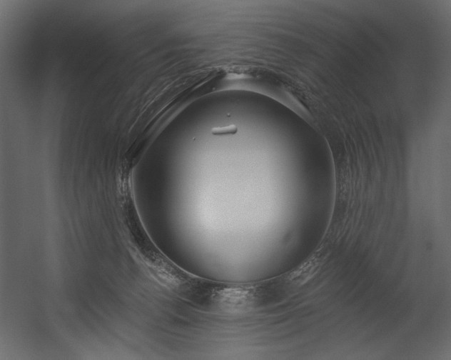 X0000054400176200508011332