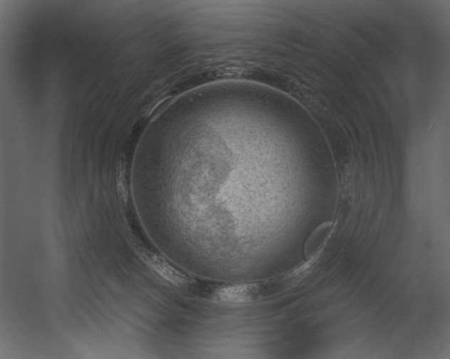 X0000054400178200508011332