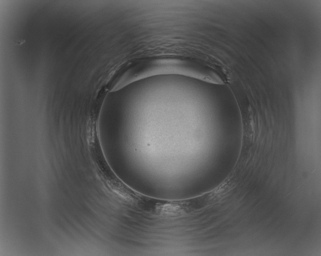 X0000054400180200508011332