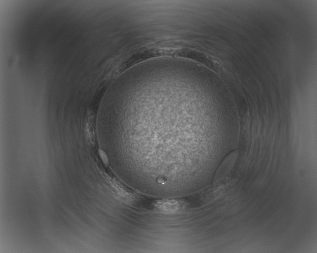 X0000054400181200508011332