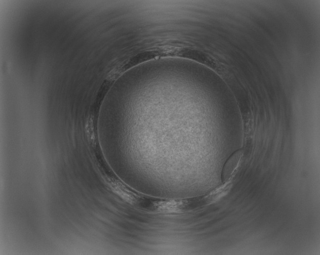 X0000054400182200508011332