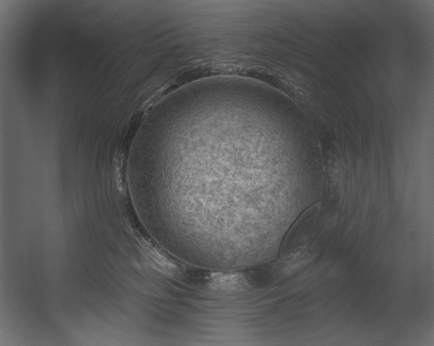 X0000054400185200508011332