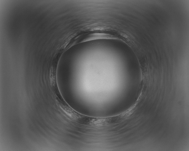 X0000054400186200508011332