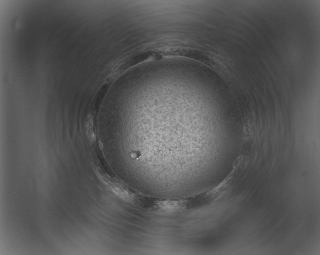 X0000054400187200508011332