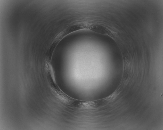 X0000054400188200508011332