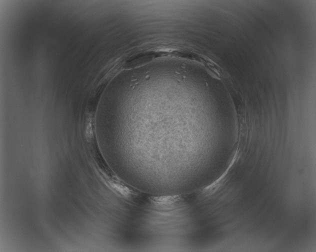 X0000054400191200508011332