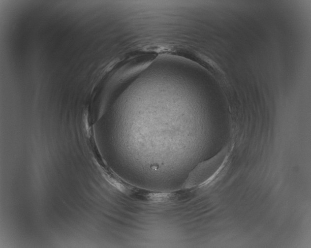 X0000054400192200508011332