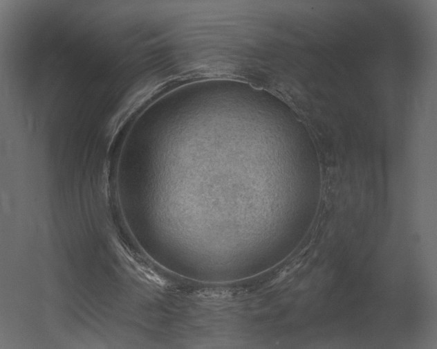 X0000054400194200508011331