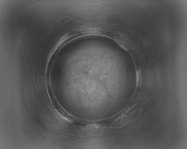 X0000054400195200508011331