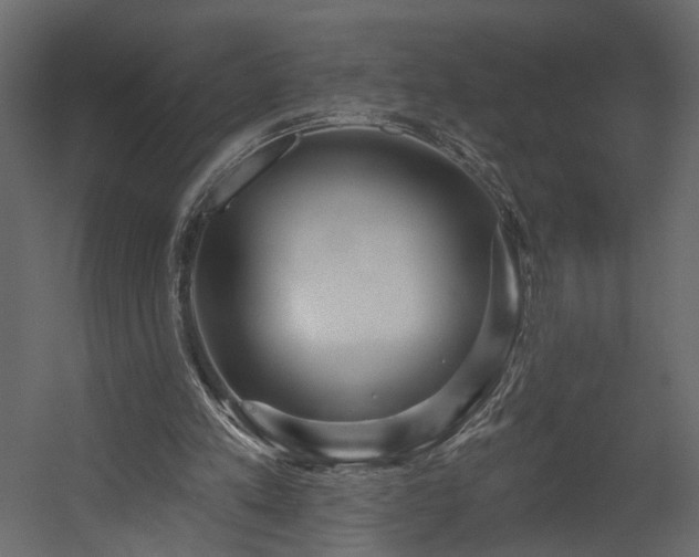 X0000054400197200508011331