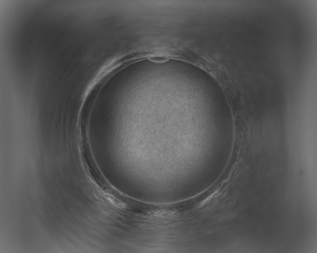 X0000054400198200508011331