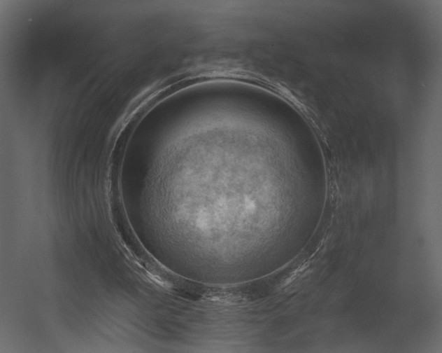 X0000054400199200508011331