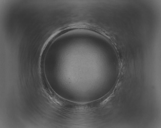 X0000054400200200508011331