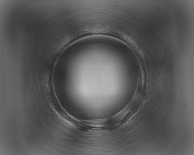 X0000054400201200508011331