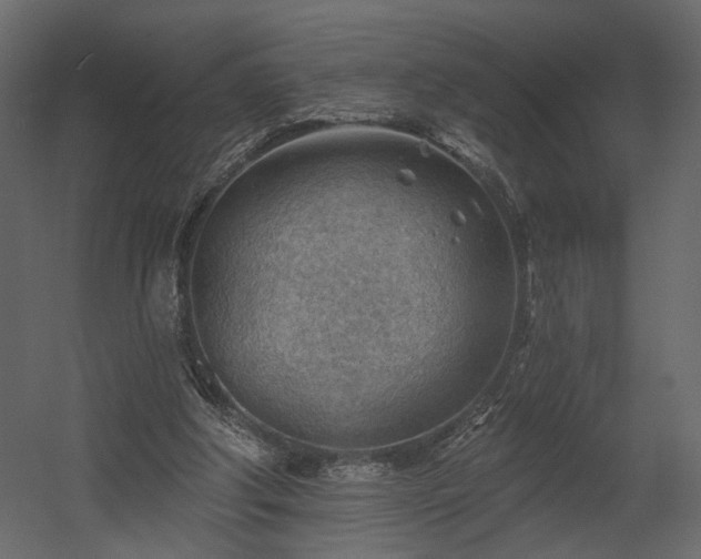 X0000054400202200508011331